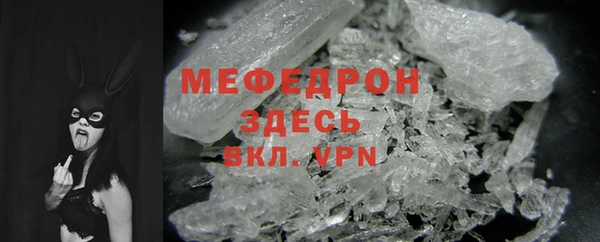 гидра Михайловка