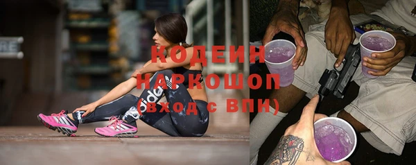 гидра Михайловка