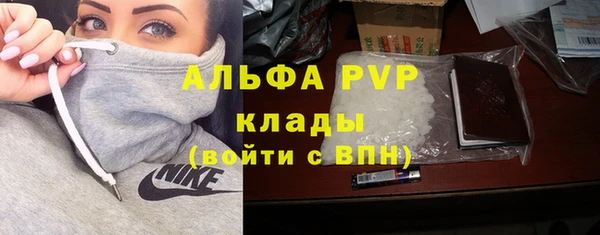 мяу мяу мука Михайловск