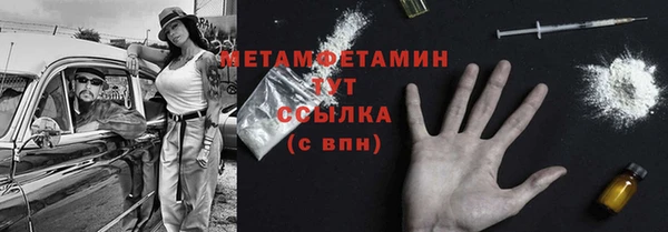 гидра Михайловка