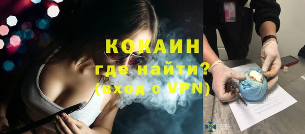 гидра Михайловка