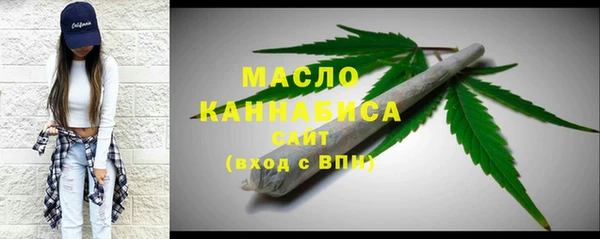 гидра Михайловка