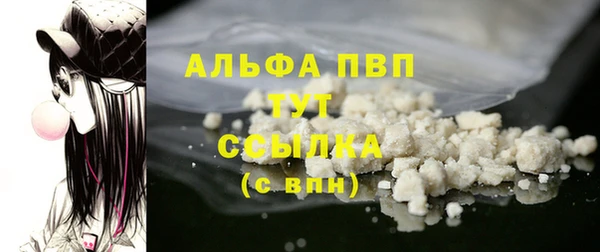 гидра Михайловка