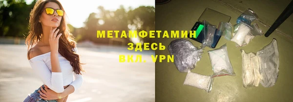 гидра Михайловка