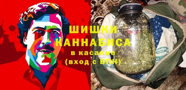 гидра Михайловка