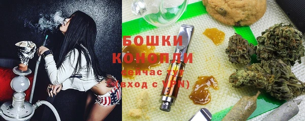 гидра Михайловка
