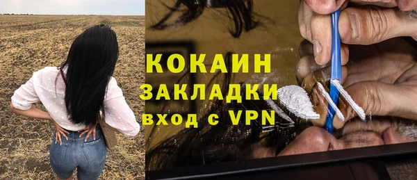 мяу мяу мука Михайловск