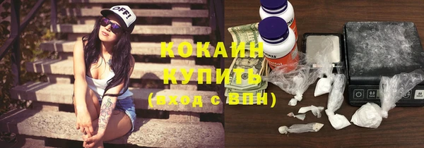 гидра Михайловка