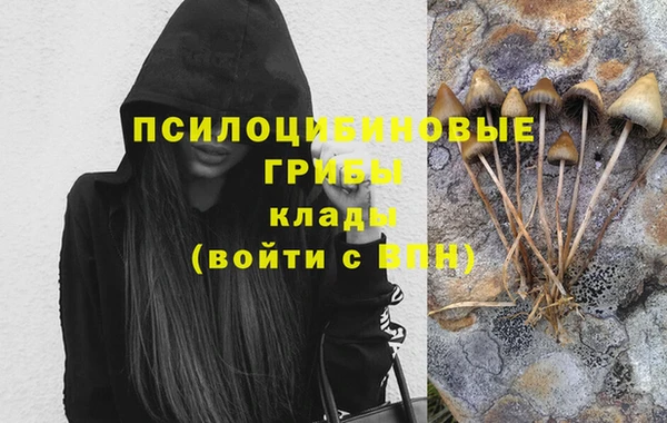 гидра Михайловка