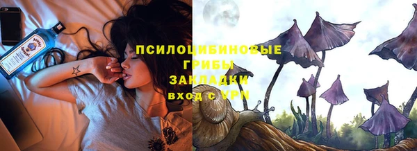 мяу мяу мука Михайловск