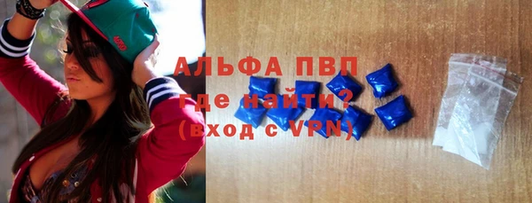 гидра Михайловка