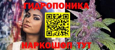 apvp Заводоуковск