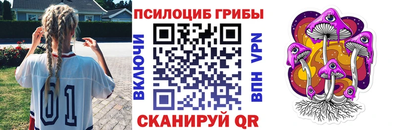 наркошоп  Ногинск  KRAKEN рабочий сайт  маркетплейс официальный сайт  Псилоцибиновые грибы Psilocybe 