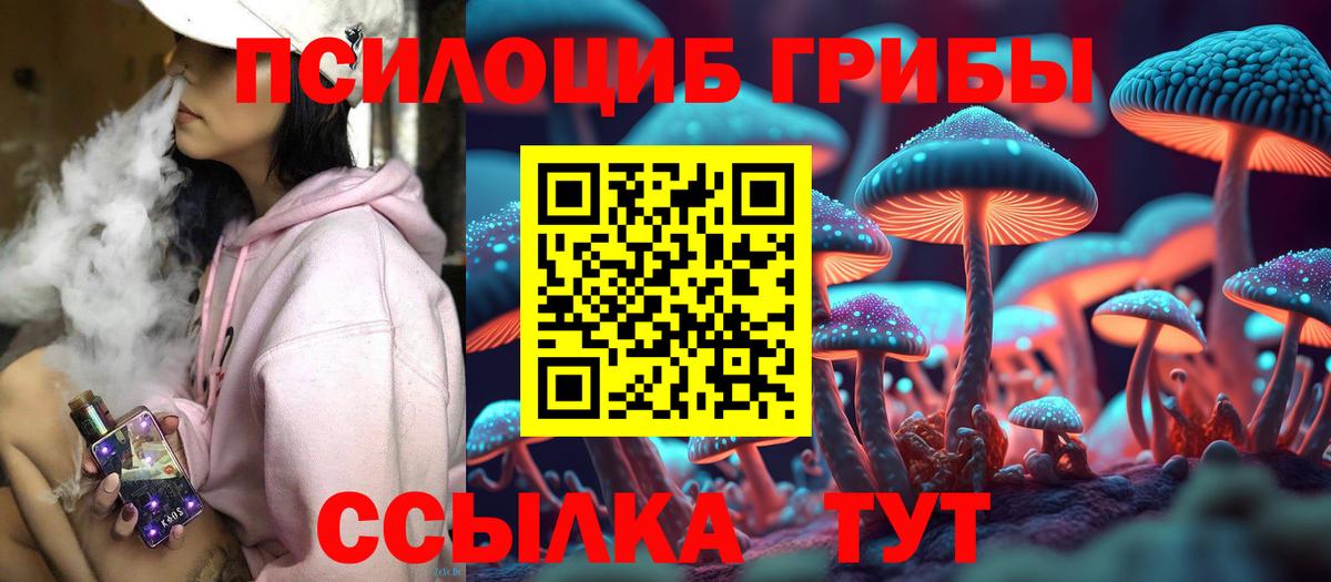 Ногинск  Псилоцибиновые грибы мицелий  купить закладку  Вход с VPN  Псилоцибиновые грибы Magic Shrooms 